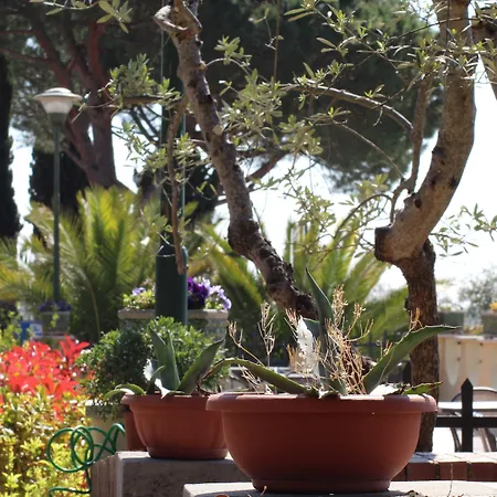 La Loggia - Gloria -adults Only Landhaus Quercegrossa
